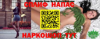 a pvp Бузулук