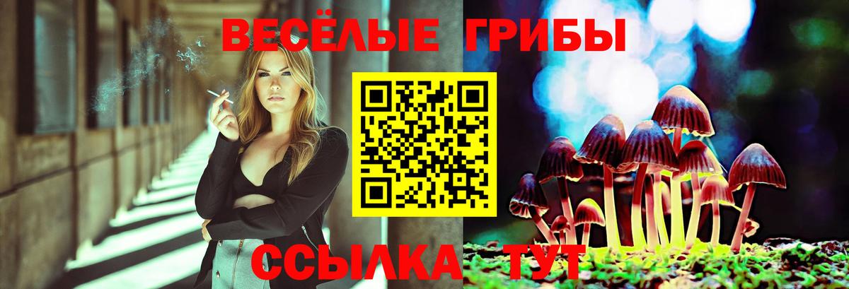 Галлюциногенные грибы Magic Shrooms  Вход с VPN  Королёв 